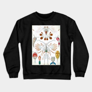 Copepoda by Ernst Haeckel Crewneck Sweatshirt